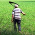 Все автошколы чебоксары Все автошколы чебоксары