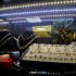 «Volga Gold»: про огонь, золото и подарки к Новому году «Volga Gold»: про огонь, золото и подарки к Новому году