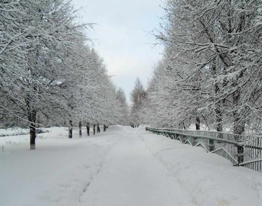 Продам зимние шины гродно
