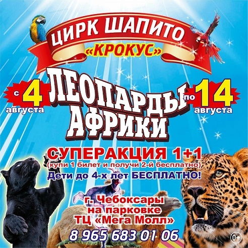 Шапито Магазин Детской Одежды