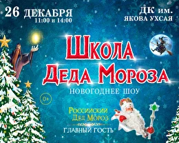 Новогоднее Шоу Новогоднее Шоу